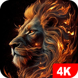 Lion Wallpapers 4K aplikacja