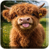 Animal Wallpaper 4K & Cute APK