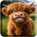 Animal Wallpaper 4K & Cute APK