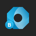 BraIND 4.0