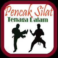 Bela Diri Tenaga Dalam poster