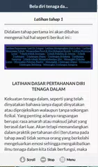 Скачать Bela Diri Tenaga Dalam APK