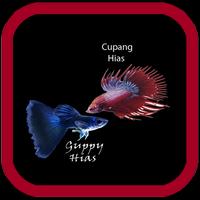 Cupang & Guppy Hias Affiche