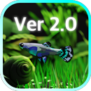 放置で育てる水草アクアリウム育成ゲーム〜アクアプランツ APK