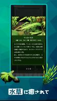 放置で育てる水草アクアリウム育成ゲーム〜アクアプランツ Screenshot 3
