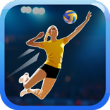 Fine Volleyball