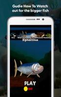 Fish Feed & Grow Tips Game syot layar 1