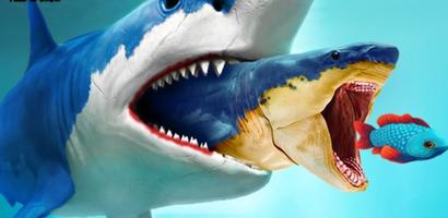 Fish Feed and Grow Guide Plakat