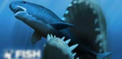 Fish Feed and Grow Guide Screenshot 3