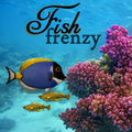 Fish Frenzy