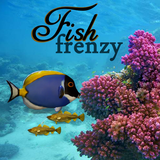 Fish Frenzy aplikacja