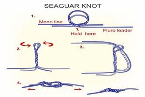 Fishing Knots โปสเตอร์