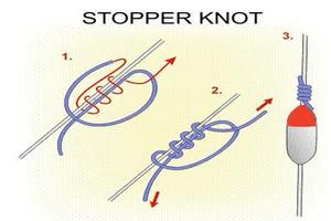 Fishing Knots ภาพหน้าจอ 2