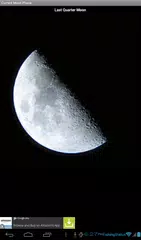 Fishing Status APK download