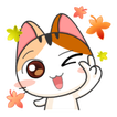 Awesome cats stickers - WAStickerApps