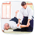 How to Do Aikido Training