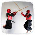 Shorinji Kempo Techniques Tips