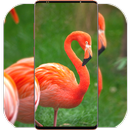 Flamingo Wallpaper HD APK