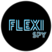 FliixSpy Pour Mspy