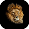 Wild Kingdom: Lion vs Tiger APK