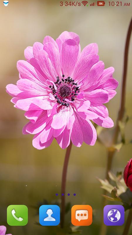 Floral Wallpaper Hd For Android Apk Download