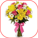 Flower Bouquets & Arrangements APK