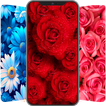 ”Flowers Wallpaper