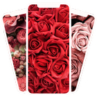 FLOWER wallpapers 圖標