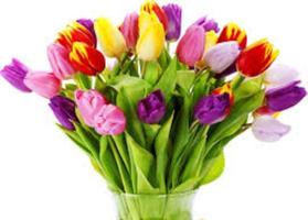New! Simple flower arrangement ideas Screenshot 1