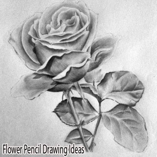 Flower Pencil Drawing Ideas For Android Apk Download