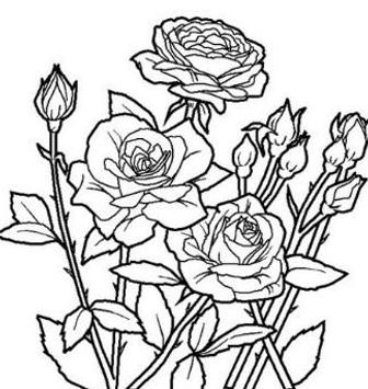 Flower Pencil Drawing Ideas For Android Apk Download