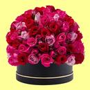 Animated Flowers Stickers APK