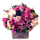 1000+ Flowers Arrangement Images APK