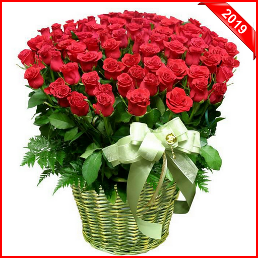 Frühlingsblumen 2019