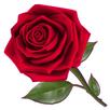 Flowers And Roses Animated Images Gif 4K APK
