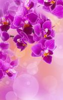 Flowers Live Wallpaper screenshot 3