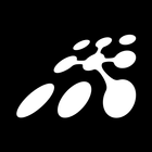 PRG Live icon