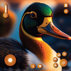 Virtual Duck Simulator Bird 3D آئیکن