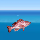 Zen Focus Pixel Aquarium