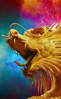 Dragon Wallpaper Affiche