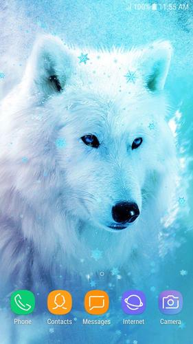 Tải xuống APK Ice Wolf Hình Nền Sống HD cho Android