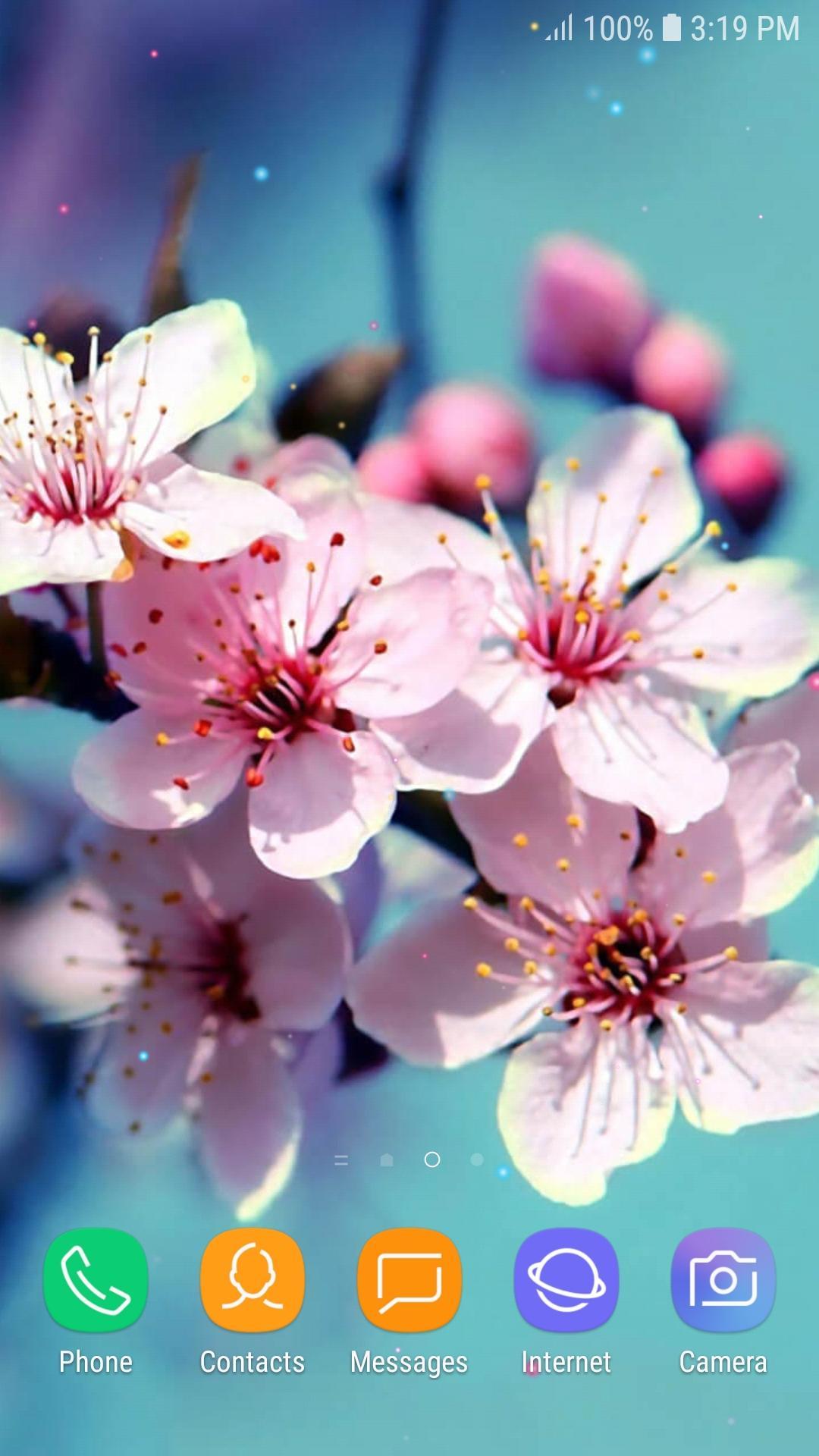 Descarga de APK de Fondos de Flores en Movimiento para Android Descarga de APK de Fondos de Flores en Movimiento para Android