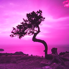 Pink Sky Live Wallpaper icon