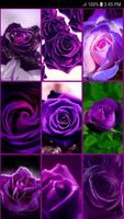 Purple Rose Live Wallpaper screenshot 2