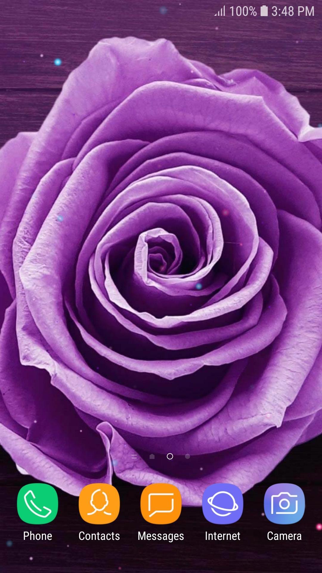 紫色桌布 玫瑰花動態桌布安卓下載 安卓版apk 免費下載