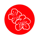 Сакура | Королев APK