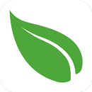 APK Ресторан Махаон