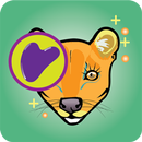 Fossa Gua Sha APK