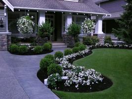 Front Yard Ideas poster
