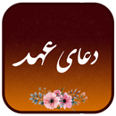 دعای عهد همراه صوتی زیبا و دلنشین علی فانی APK